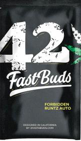 Forbidden Runtz 5 graines